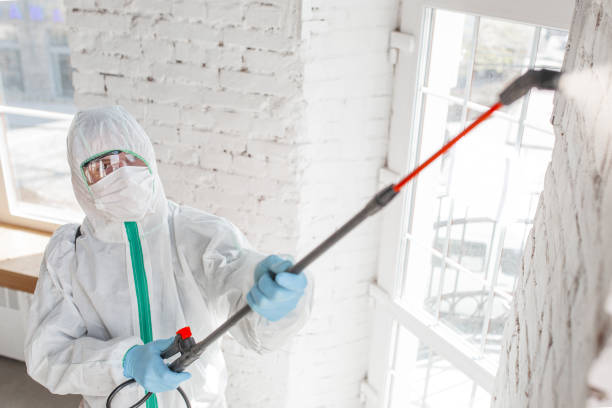 Best Commercial Mold Inspection  in Springfield, MN