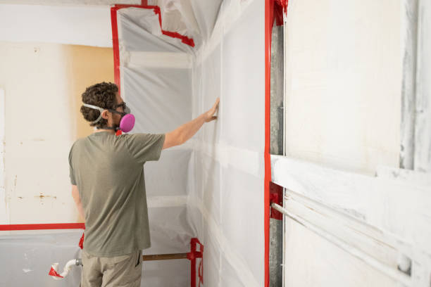 Professional Mold Removal in Springfield, MN