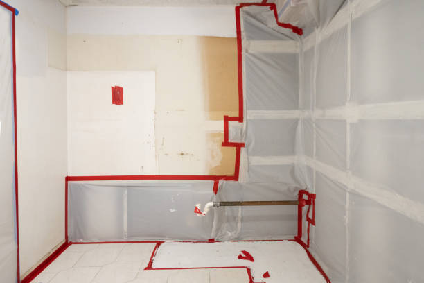 Best Mold Remediation for Healthcare Facilities  in Springfield, MN