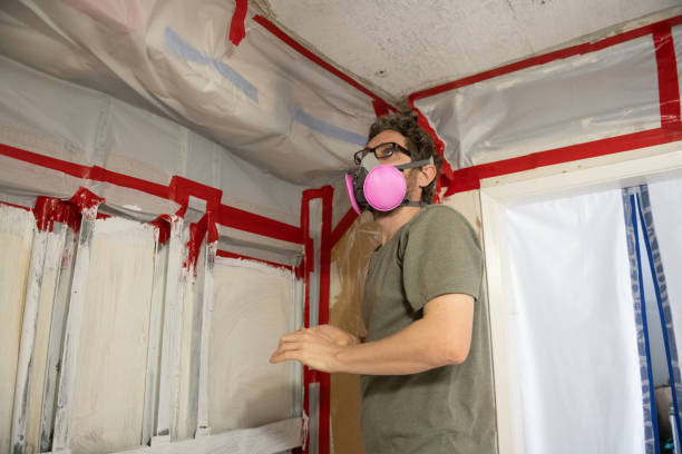 Best Crawl Space Mold Remediation  in Springfield, MN