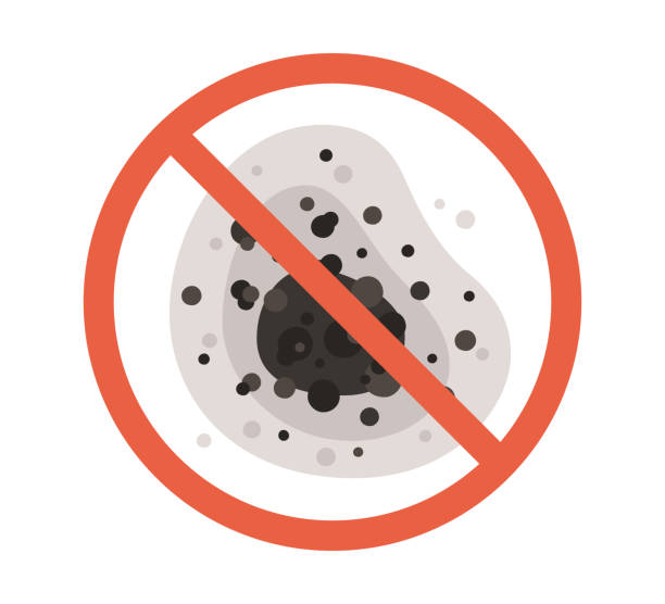 Mold Removal for HVAC Installations in Springfield, MN