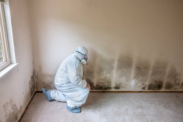 Best Biohazard Mold Removal  in Springfield, MN